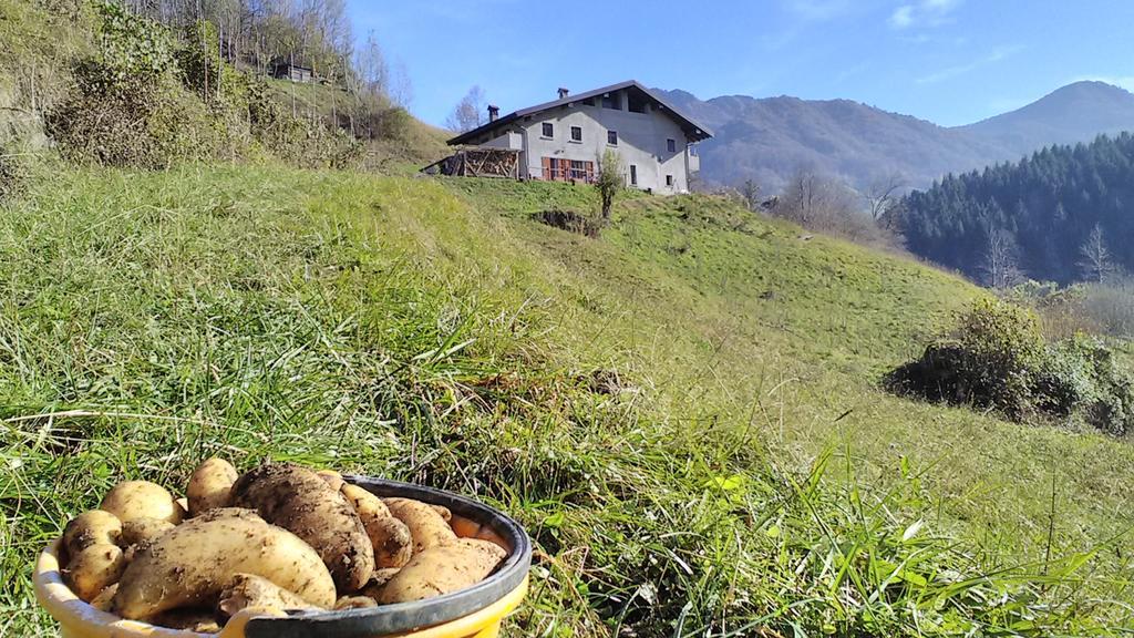 Agriturismo Cascina Cornella Cremeno Exteriör bild